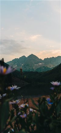 Goldy Caps wallpaper