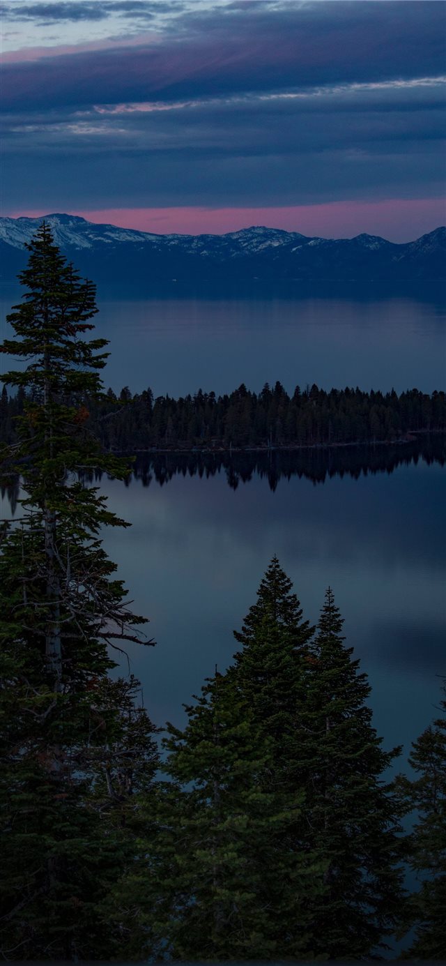 1125x2436 Glistening Emerald Bay - tree iPhone X Wallpaper