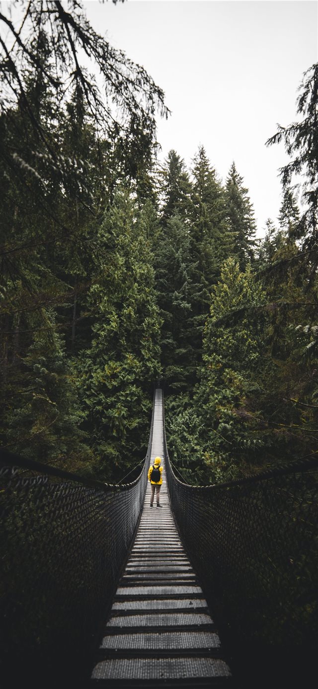 1125x2436 Lynn Valley Park  North Vancouver  Canada - green iPhone X Wallpaper