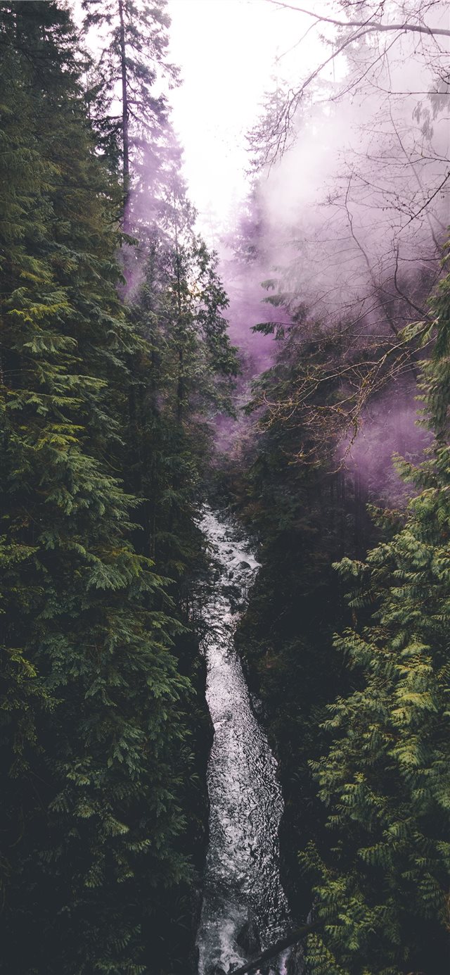 1125x2436 Vancouver  Canada - river iPhone X Wallpaper