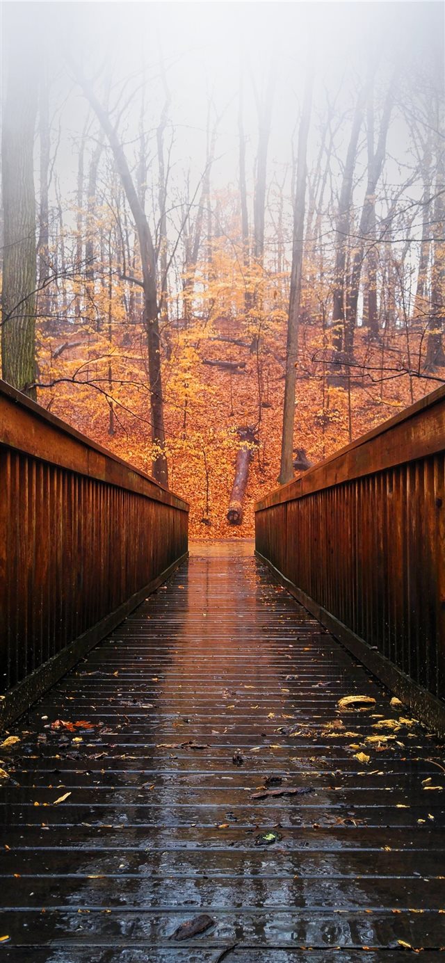 1125x2436 Arlington  United States - fall iPhone X Wallpaper
