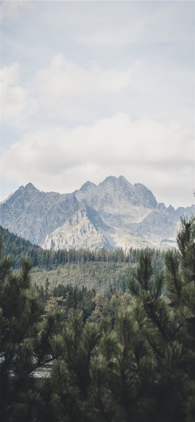 1125x2436 Rockn´roll - calm iPhone X Wallpaper