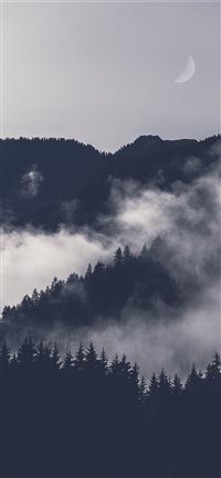 Waxing moon wallpaper