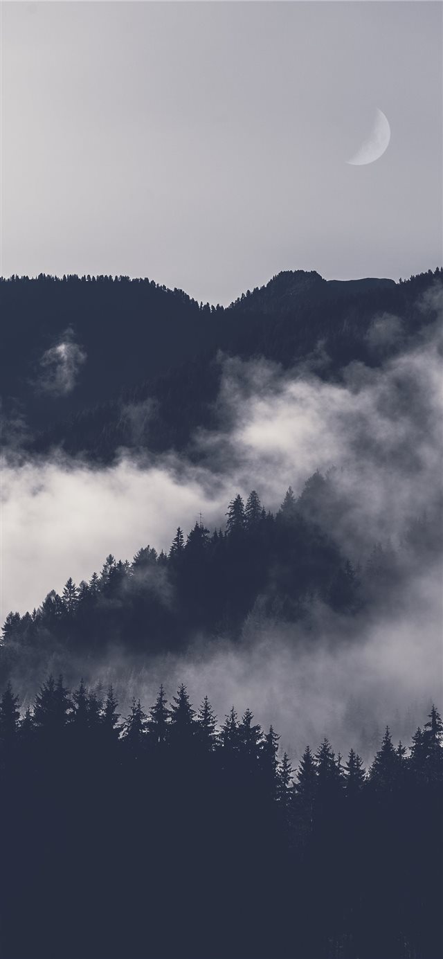 1125x2436 Waxing moon - mobile wallpaper iPhone X Wallpaper