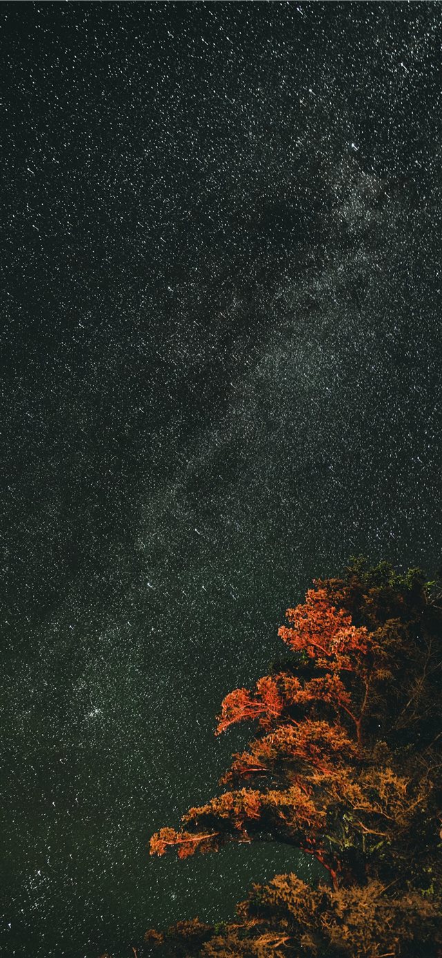 1125x2436 PEI Nights - star iPhone X Wallpaper