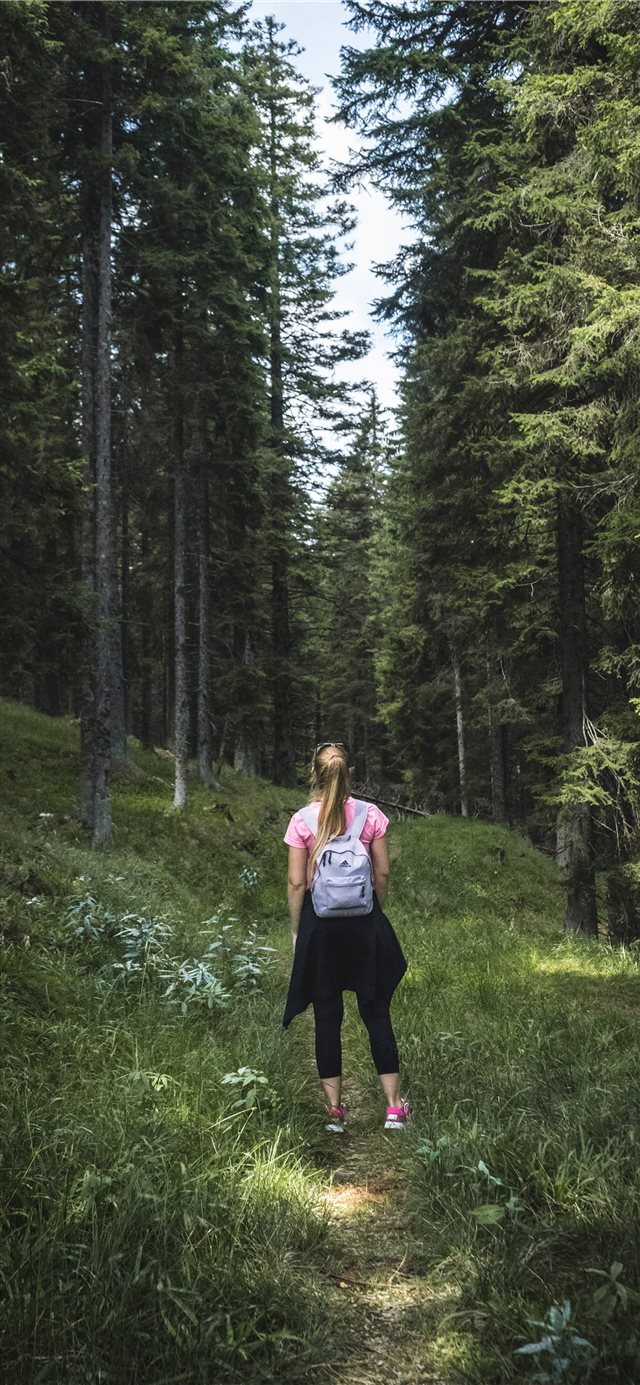 1125x2436 Hiking trough the woods - moody iPhone X Wallpaper