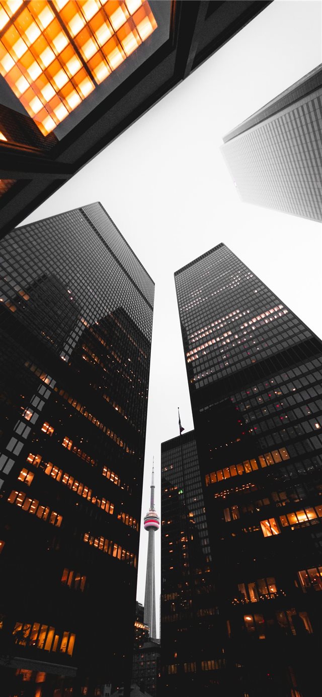 1125x2436 Toronto  Canada - travel iPhone X Wallpaper