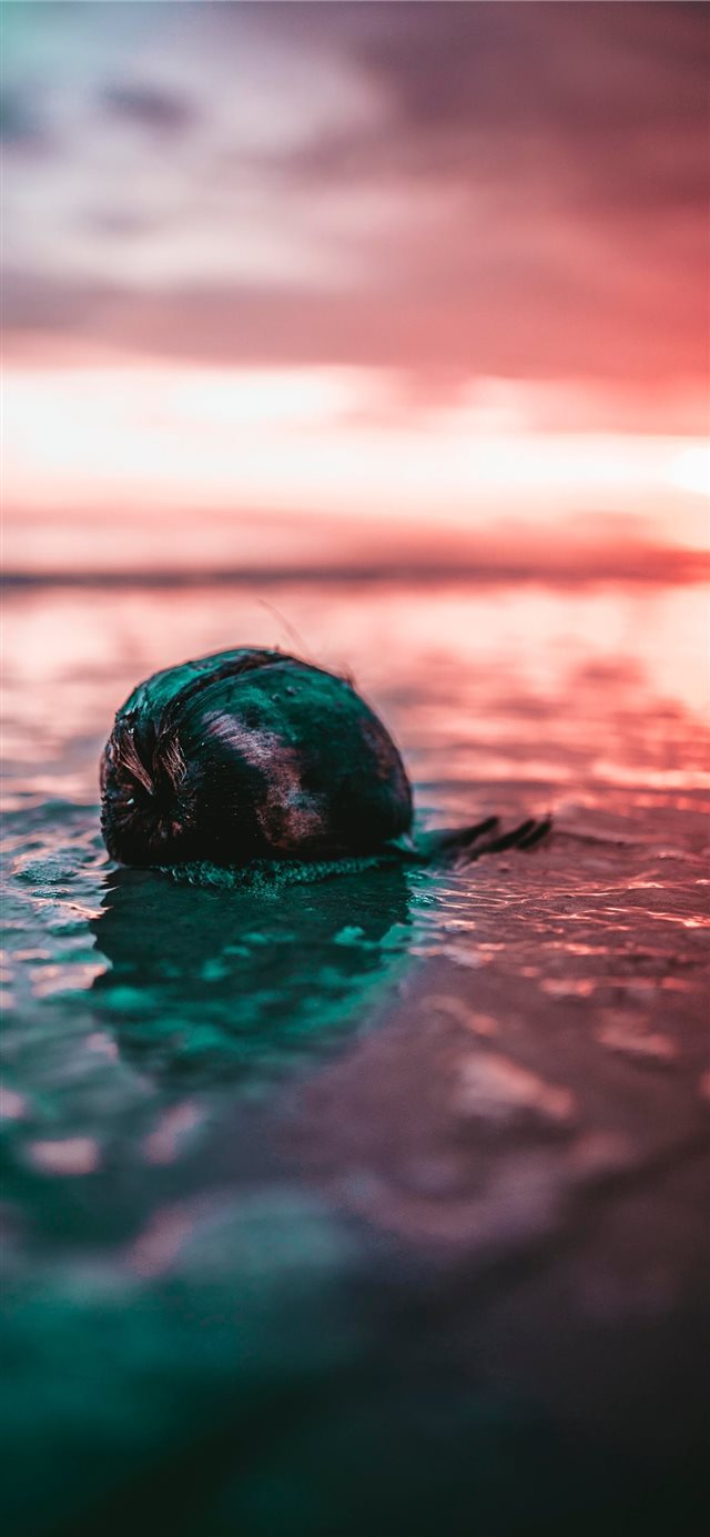 1125x2436 Sending love from the other side  - head iPhone X Wallpaper