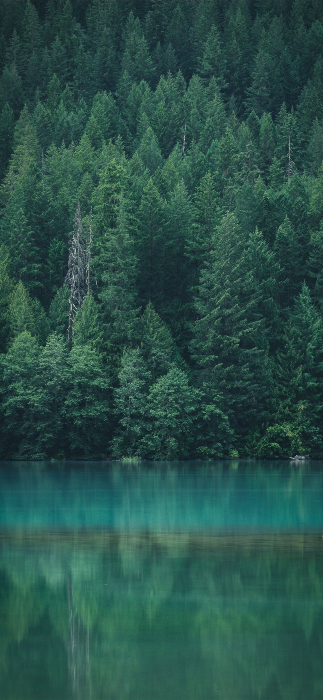 Chiêm ngưỡng phong cảnh rừng xanh mát và hồ Diablo phản chiếu trên màn hình điện thoại với hình nền iPhone X lộng lẫy, bạn sẽ không thể rời mắt khỏi nó được.