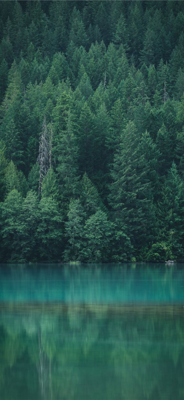 1125x2436 Forest reflection at Diablo Lake - green iPhone X Wallpaper