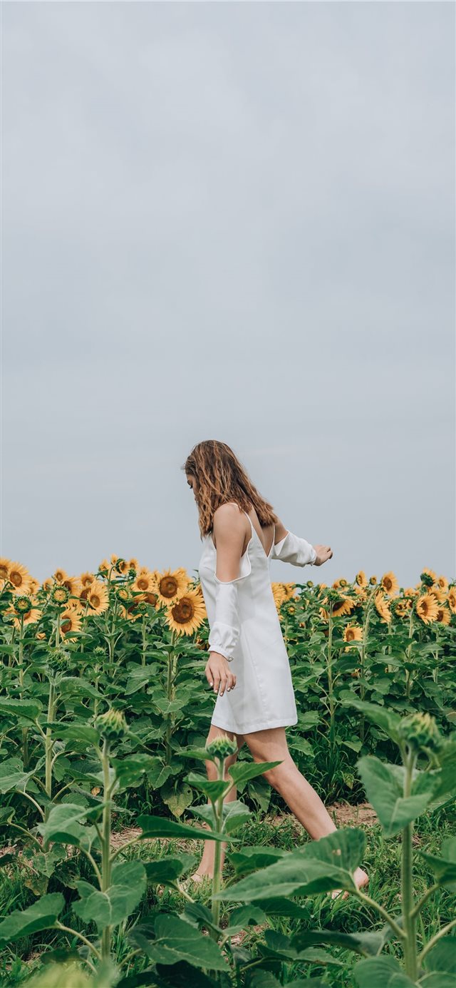 1125x2436 field - field iPhone X Wallpaper
