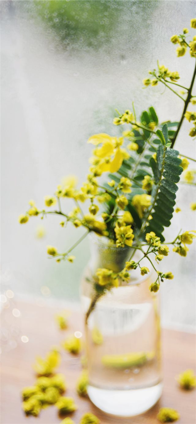 1125x2436 Still life with yellow wild flowers in a vase - window iPhone X Wallpaper