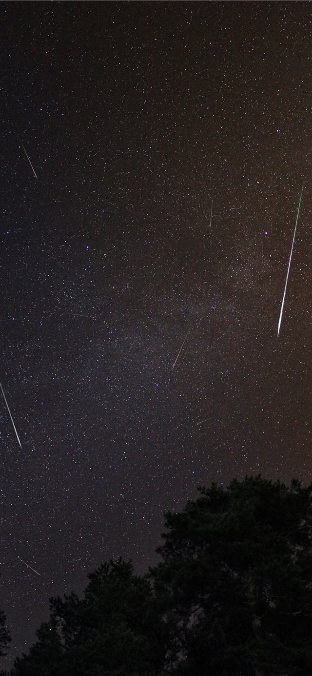 1125x2436 This is Perseid Meteor Shower - space iPhone X Wallpaper