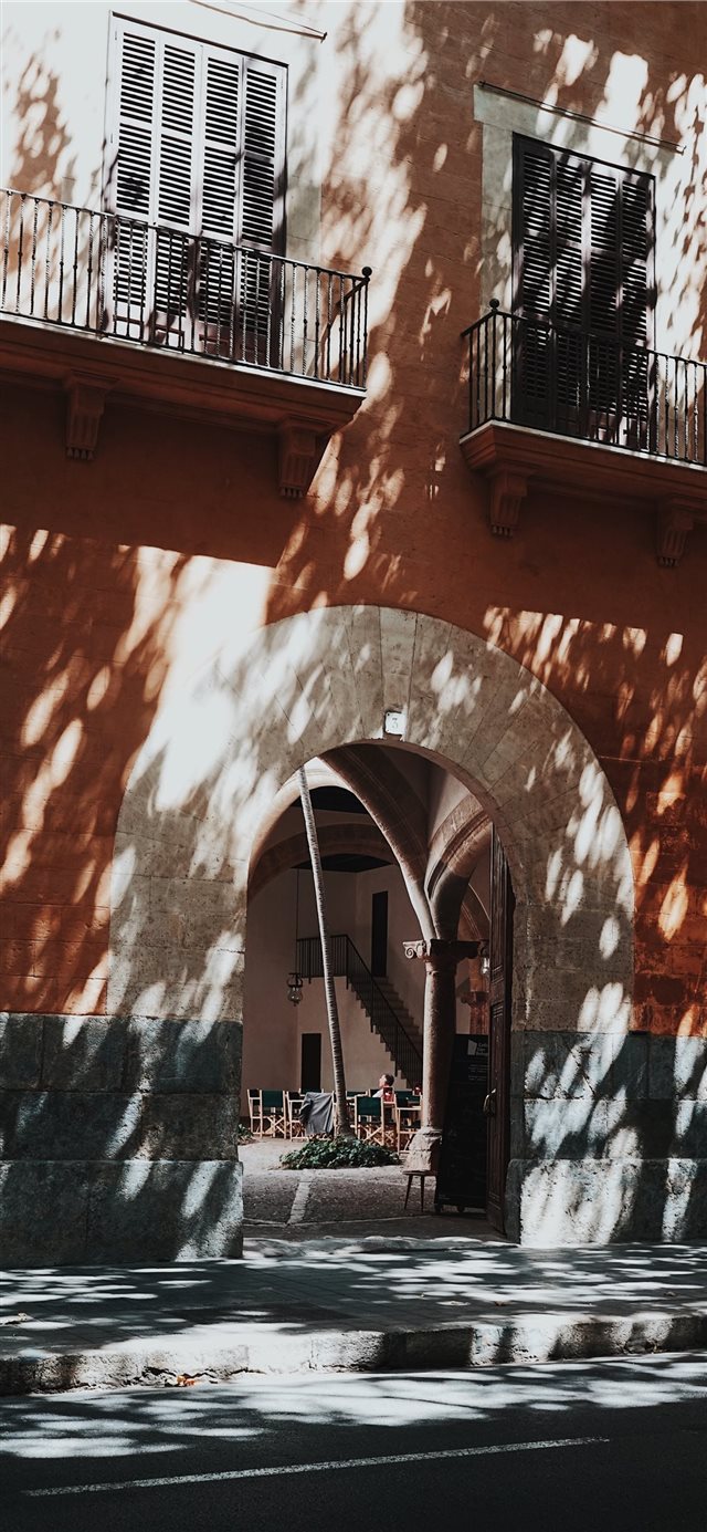 1125x2436 Palma - sony iPhone X Wallpaper