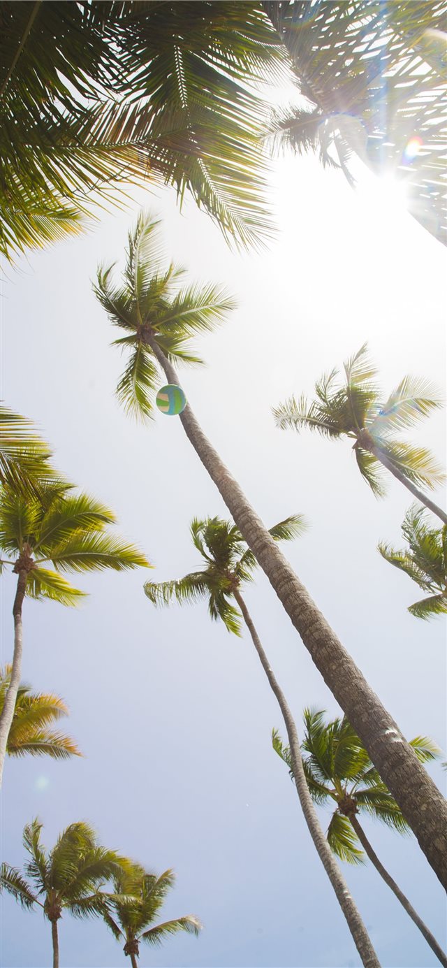 1125x2436 Summer Fun - ball iPhone X Wallpaper