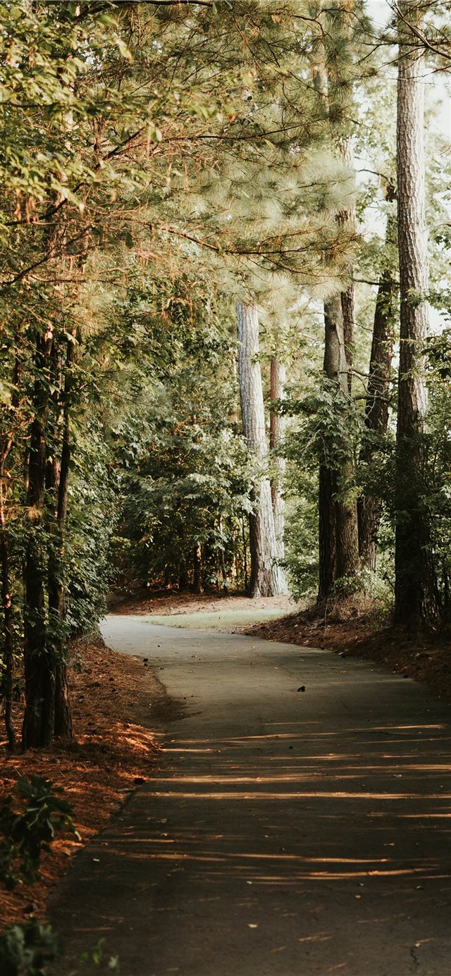 1125x2436 Just walk - beauty iPhone X Wallpaper