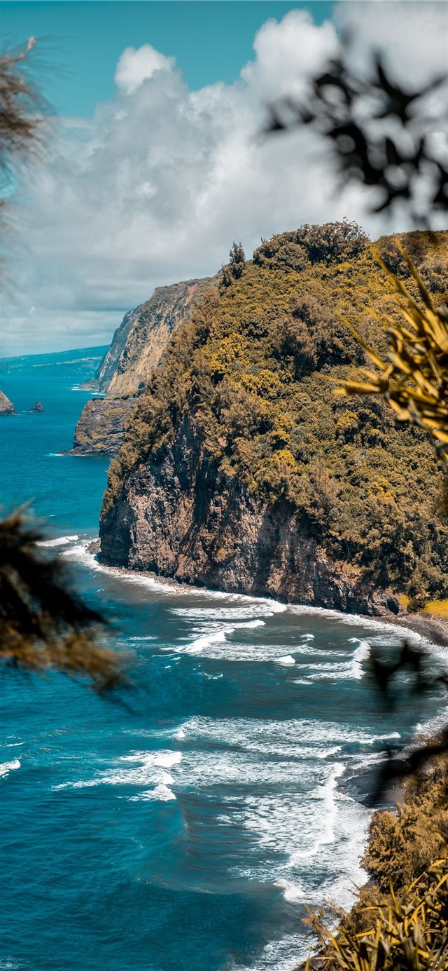 1125x2436 A hike in Hawaii - ocean iPhone X Wallpaper