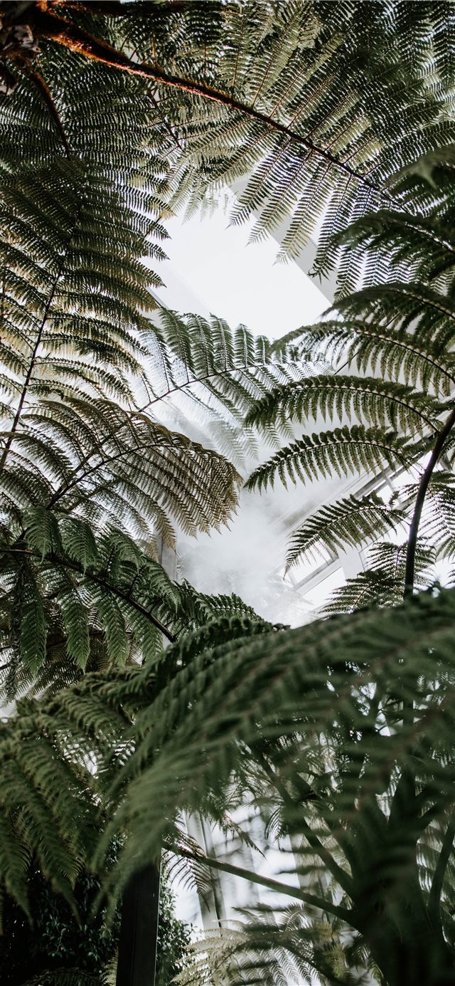 1125x2436 Sky Garden - hd wallpaper iPhone X Wallpaper