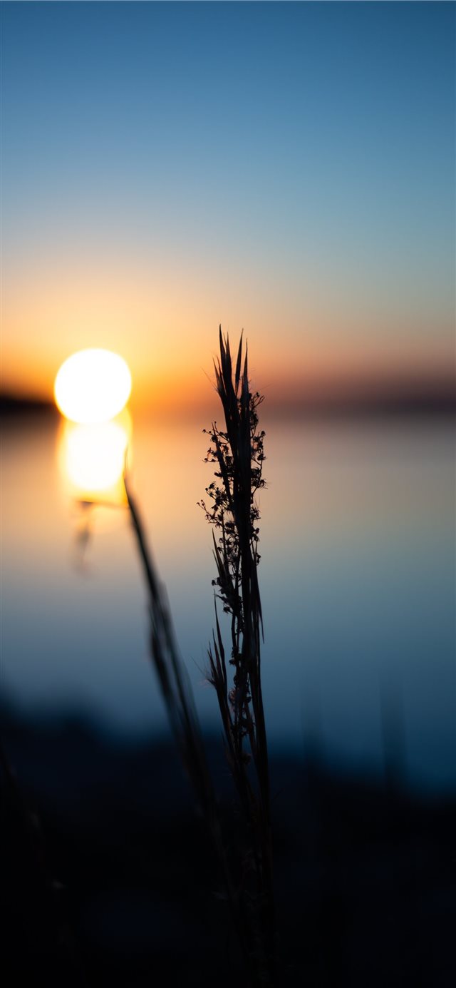 1125x2436 Sunset on the lake - sun iPhone X Wallpaper