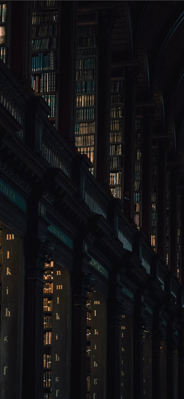 1125x2436 The Library of Trinity College - book iPhone X Wallpaper