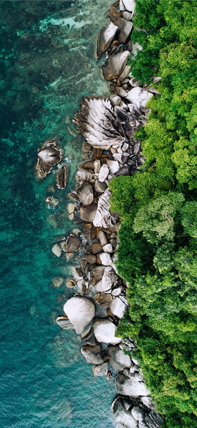 1125x2436 tioman island - drone view of sea iPhone X Wallpaper