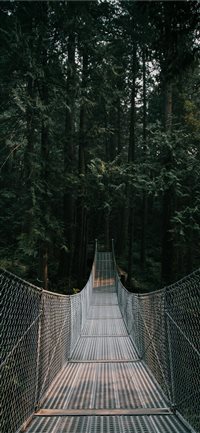 bridge wallpaper