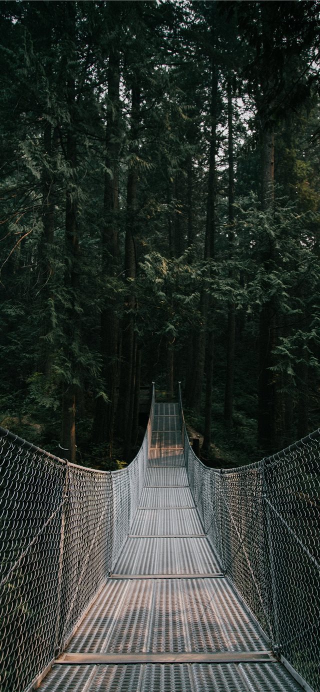 1125x2436 bridge - high iPhone X Wallpaper