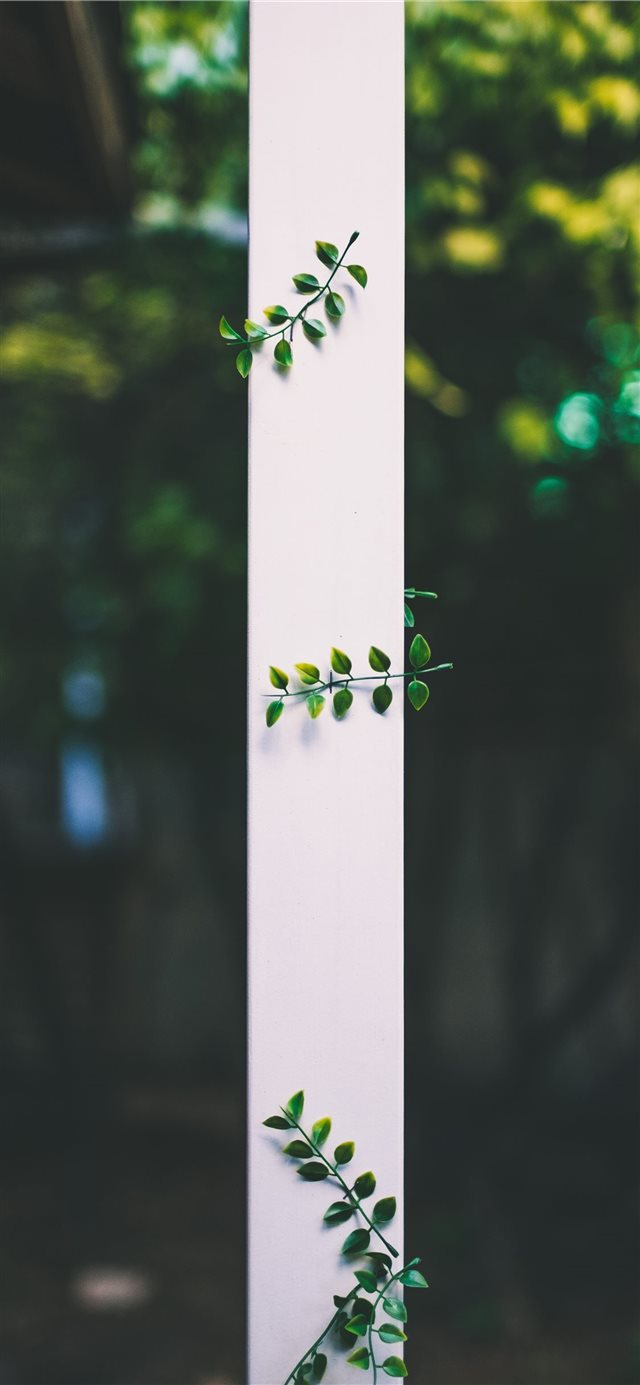 1125x2436 Leaves - pillar iPhone X Wallpaper