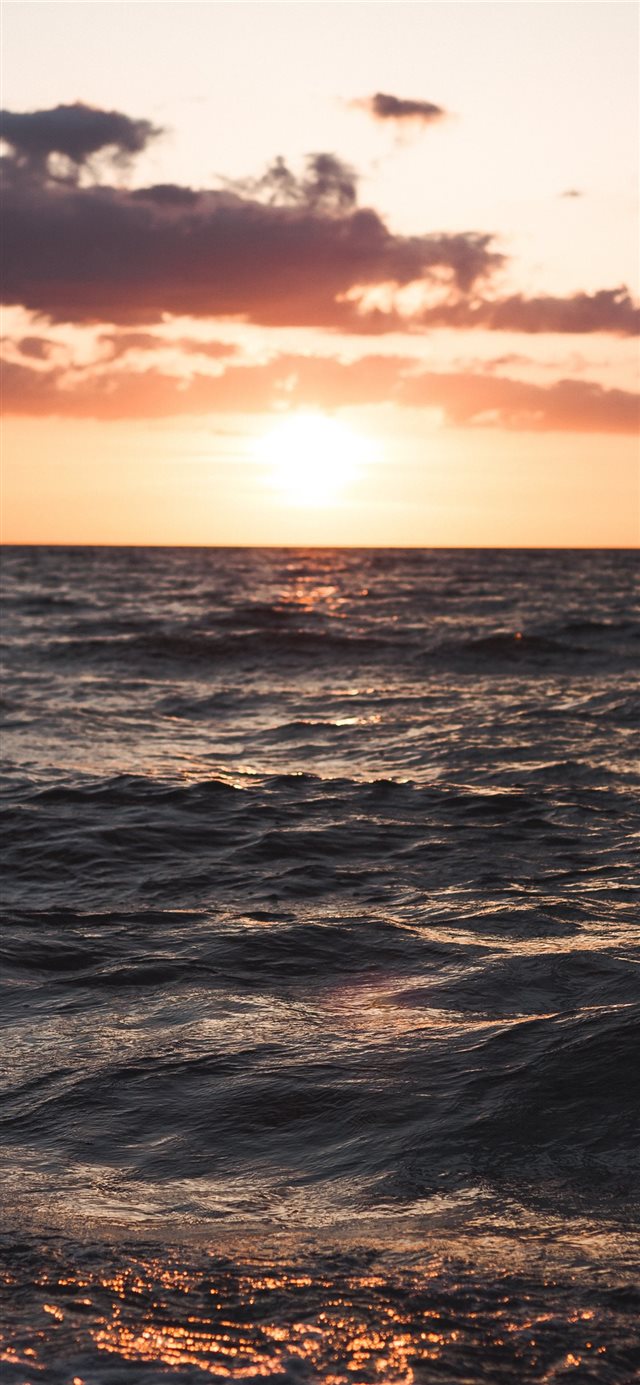 1125x2436 Ragelëje - berlin iPhone X Wallpaper