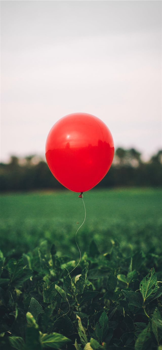 1125x2436 you’ll sink too - green iPhone X Wallpaper