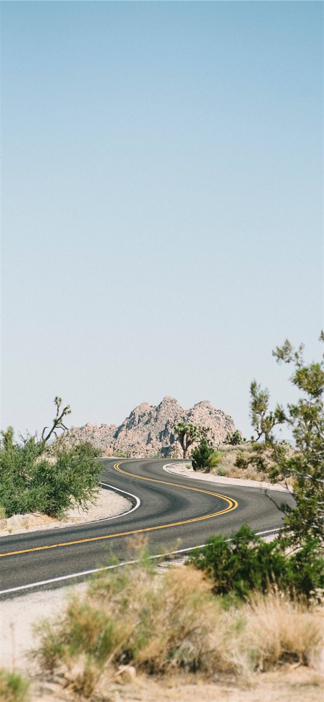 1125x2436 Joshua Tree National Park  United States - joshua tree iPhone X Wallpaper