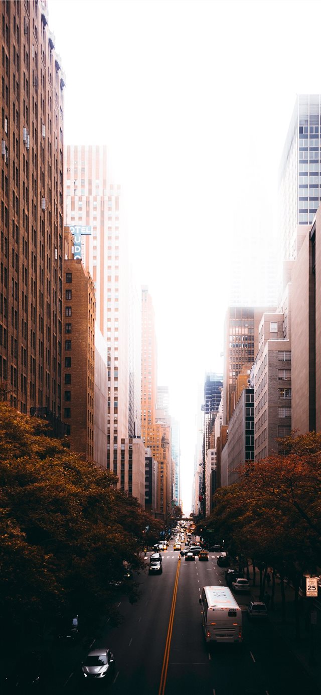 1125x2436 Autumn in Tudor City  - light iPhone X Wallpaper