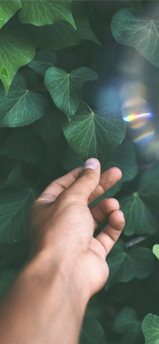 1125x2436 Goodbye -  iPhone X Wallpaper