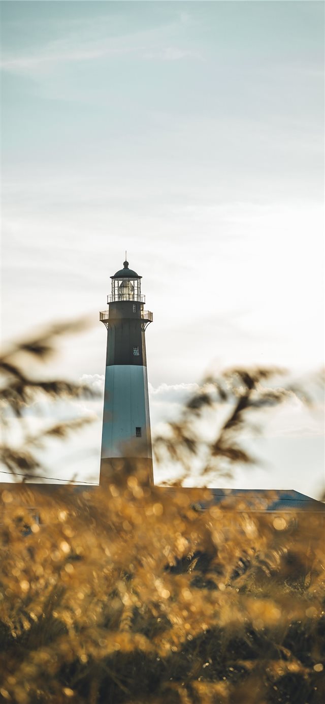 1125x2436 Lost in Tybee - ocean iPhone X Wallpaper