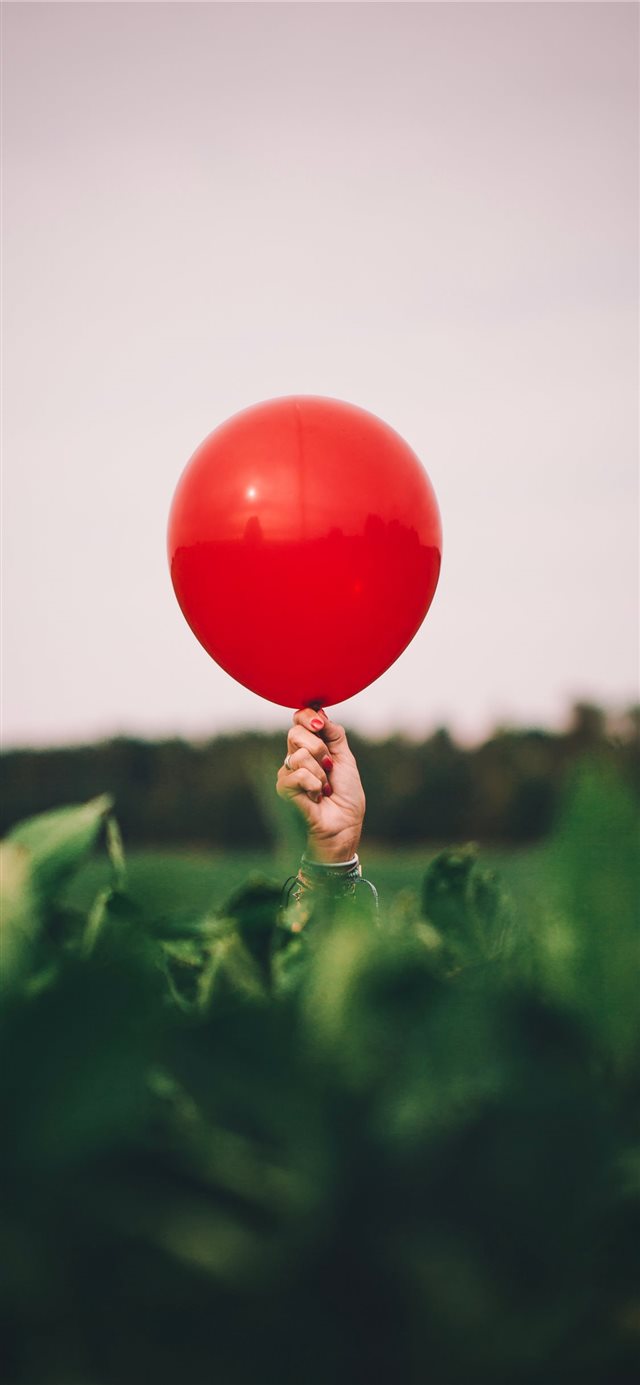 1125x2436 Biggest Tomato in the Field! - leaves iPhone X Wallpaper