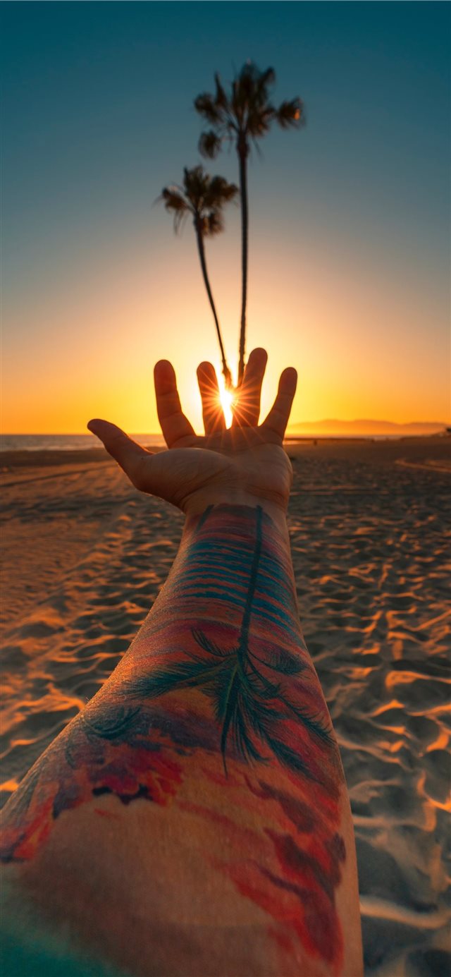 1125x2436 Palms Up - los angeles iPhone X Wallpaper