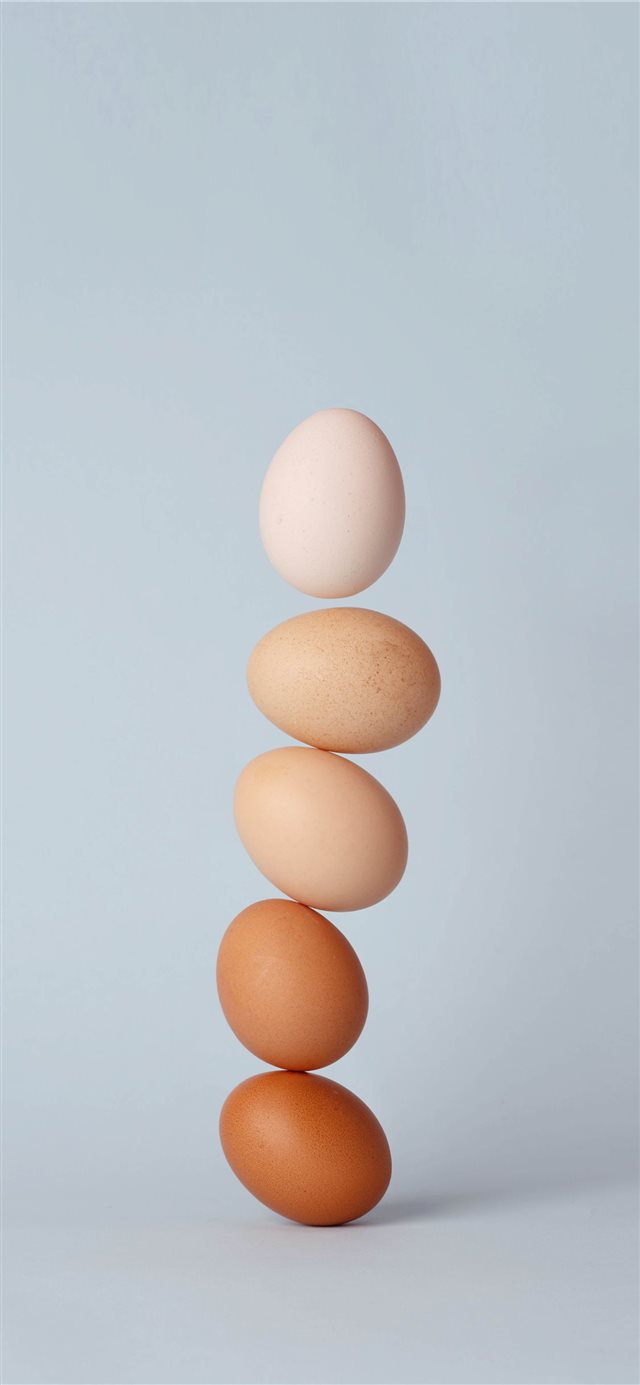 1125x2436 egg - funny iPhone X Wallpaper