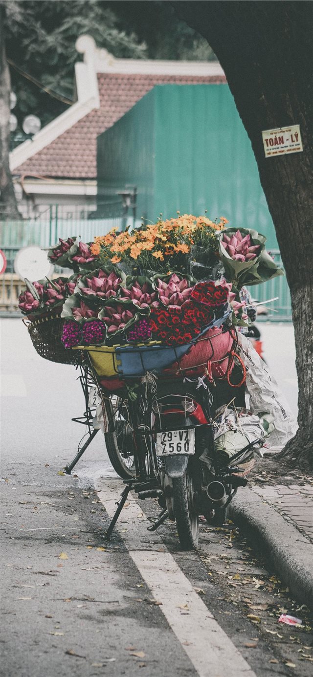1125x2436 Flower delivery bicycle - street iPhone X Wallpaper