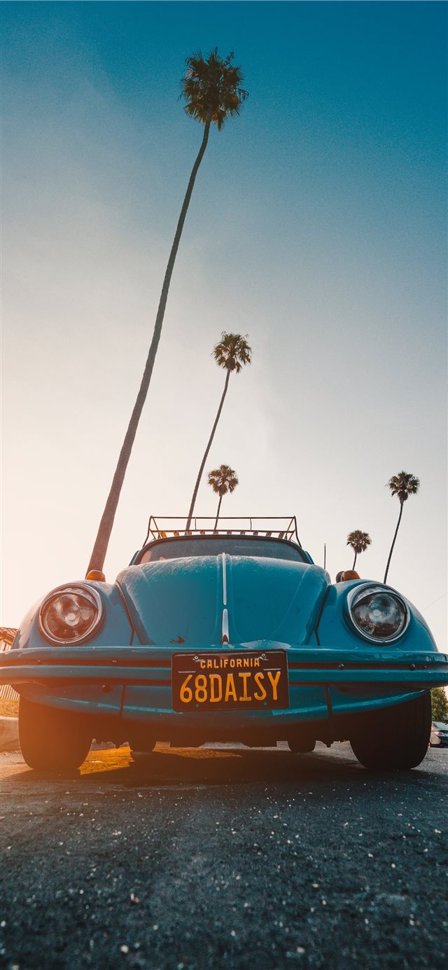 1125x2436 You’re a daisy if you do - street iPhone X Wallpaper