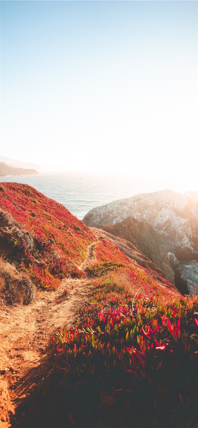 1125x2436 Path to the Point - explore iPhone X Wallpaper