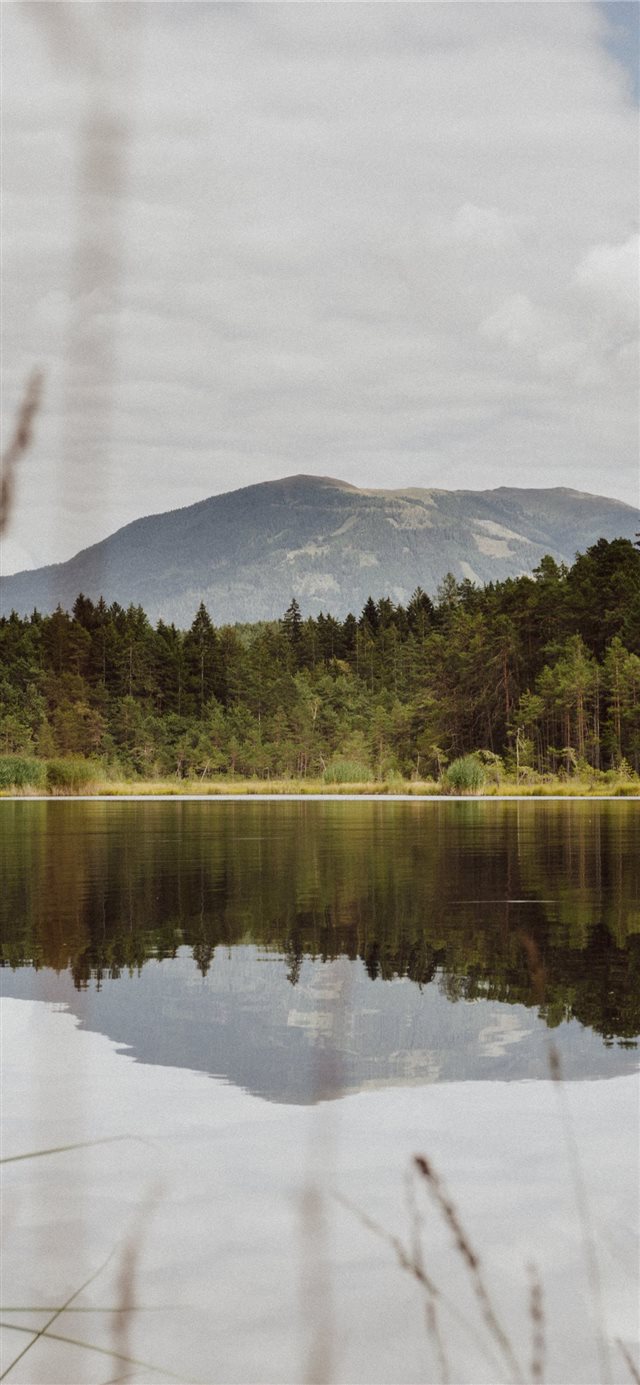 1125x2436 lake - tree iPhone X Wallpaper