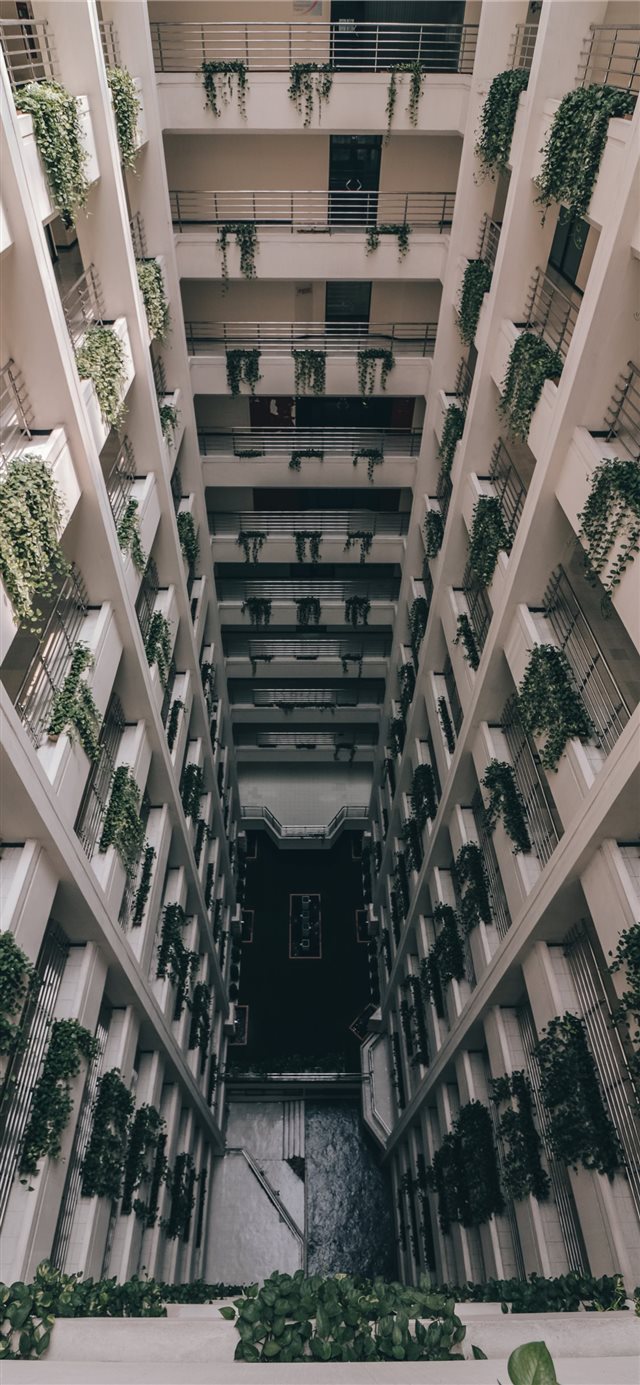 1125x2436 bangkok - bangkok iPhone X Wallpaper