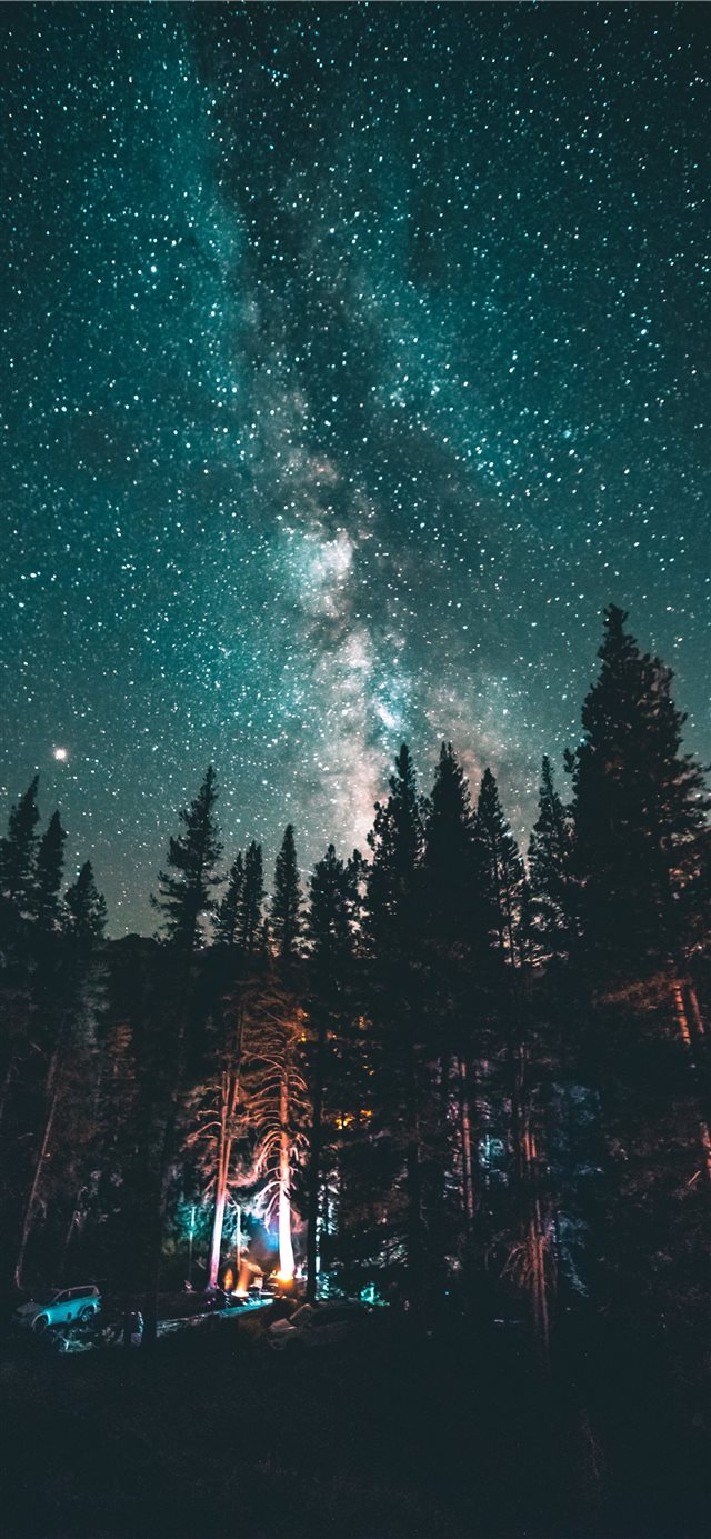 1125x2436 Campfire - night iPhone X Wallpaper