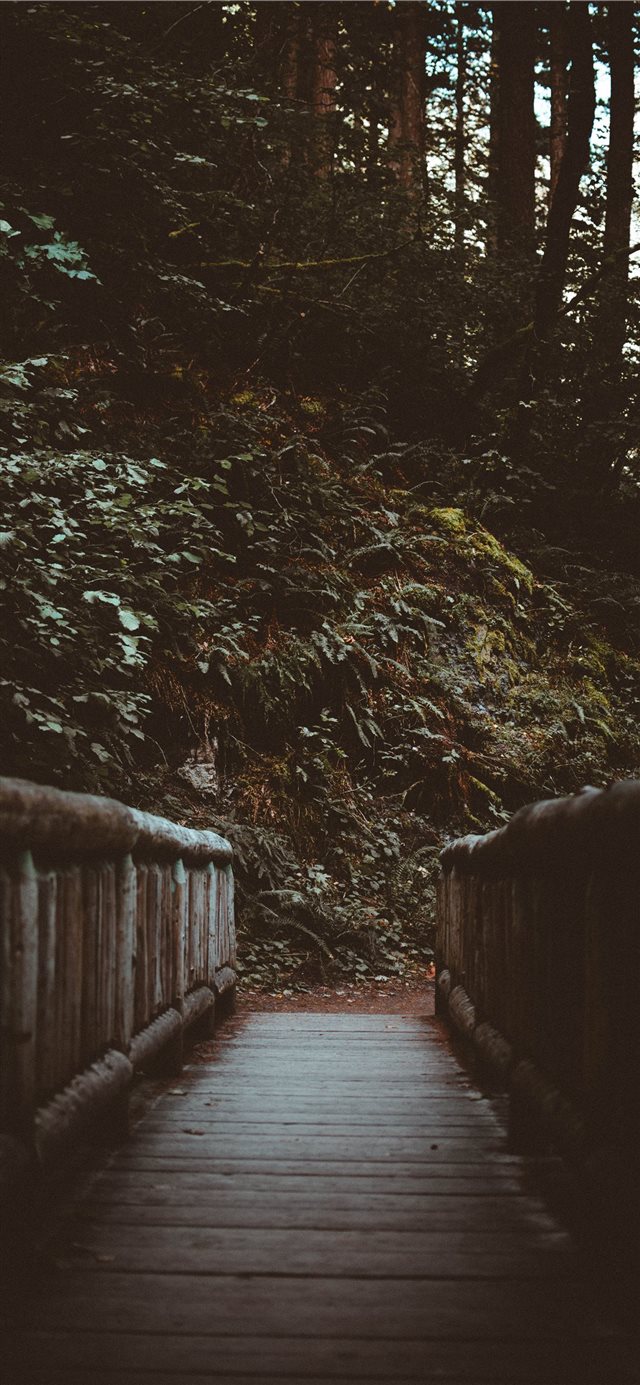 1125x2436 bridge - wooden iPhone X Wallpaper