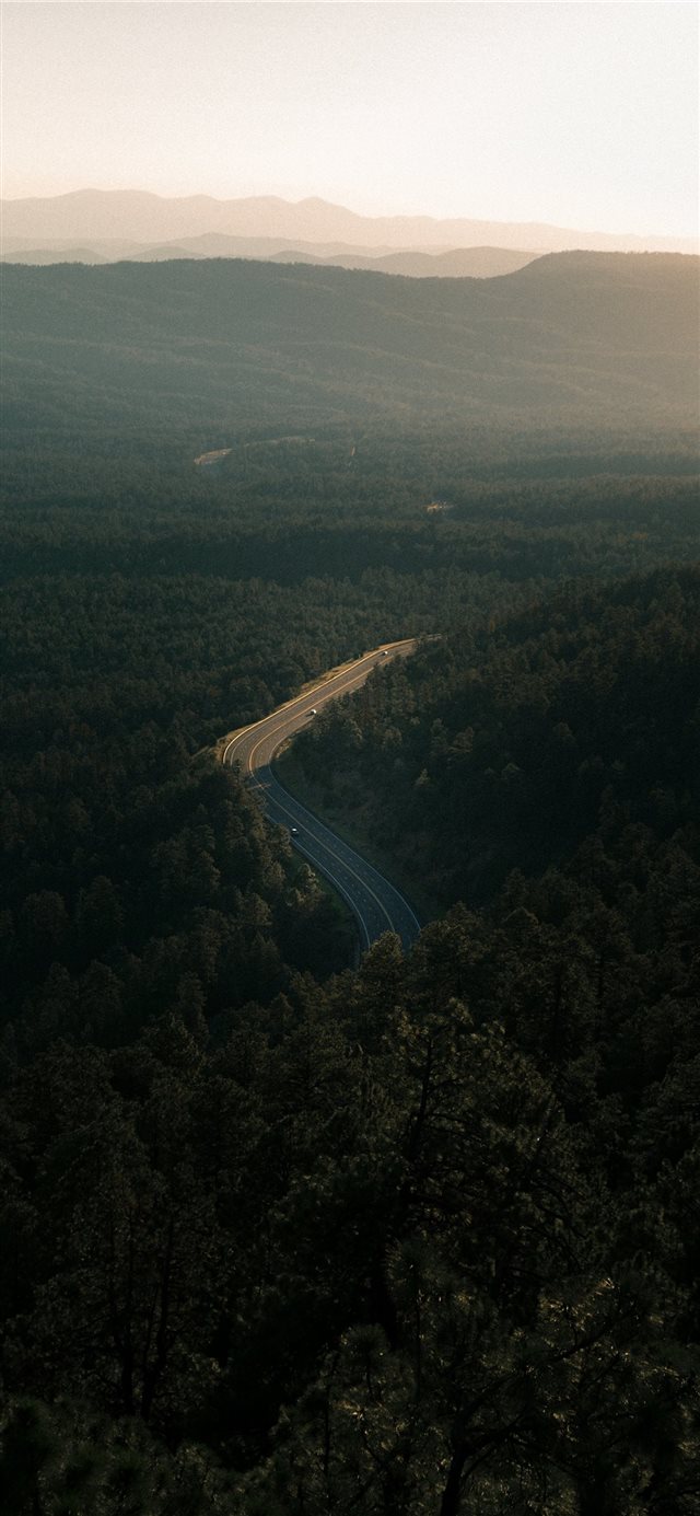 1125x2436 The single road out - road iPhone X Wallpaper