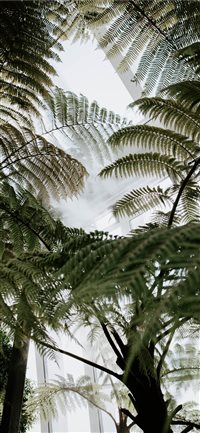 The Garden In The Sky wallpaper