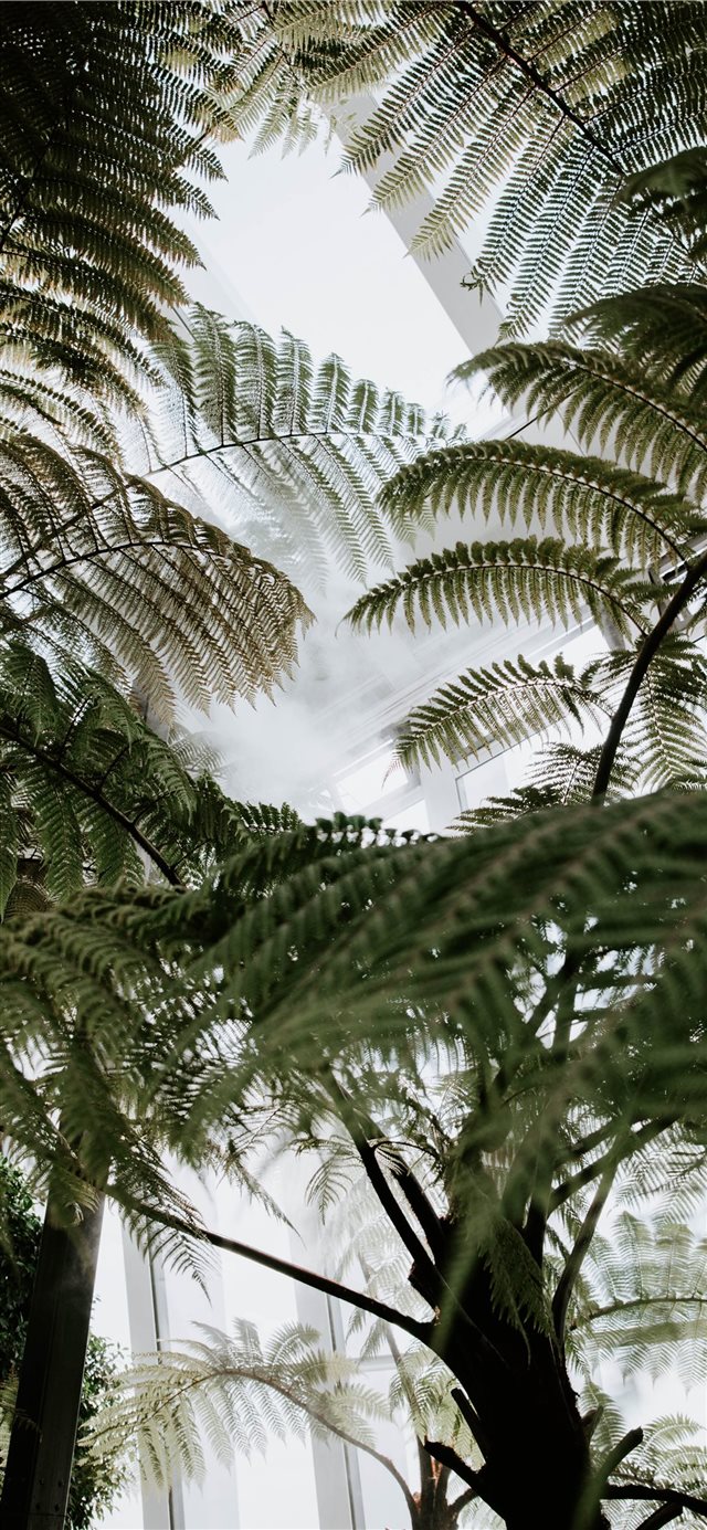 1125x2436 The Garden In The Sky - london iPhone X Wallpaper