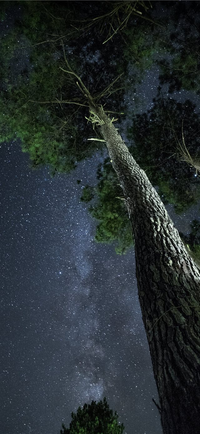 1125x2436 Grayan et l'Hôpital  France - night iPhone X Wallpaper