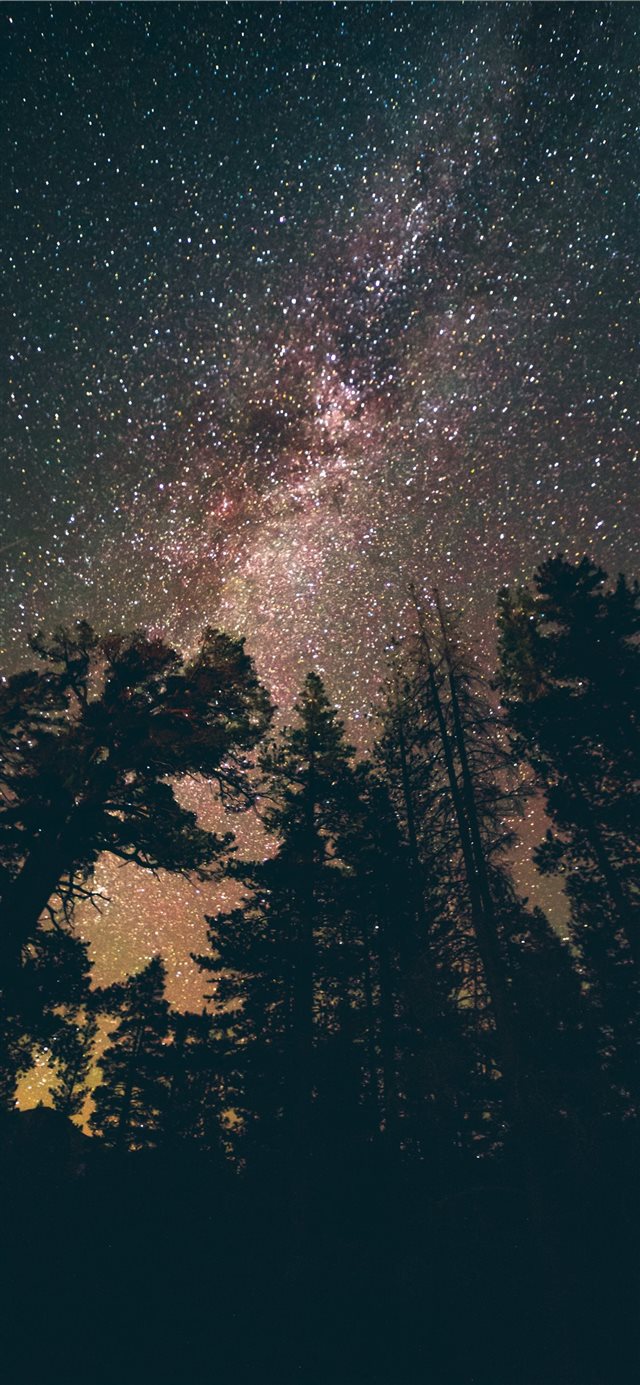1125x2436 Lake Tahoe  United States - night iPhone X Wallpaper