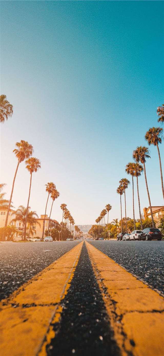 1125x2436 Follow the Yellow Palmed Road - palm tree iPhone X Wallpaper